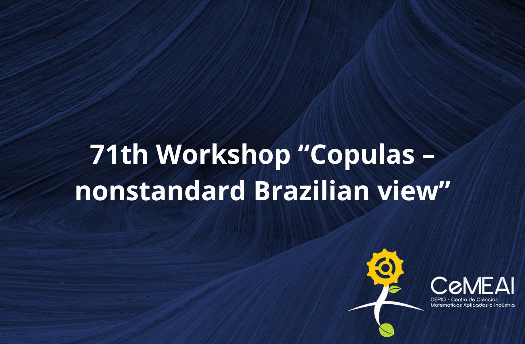 71th Workshop “Copulas – nonstandard Brazilian view”