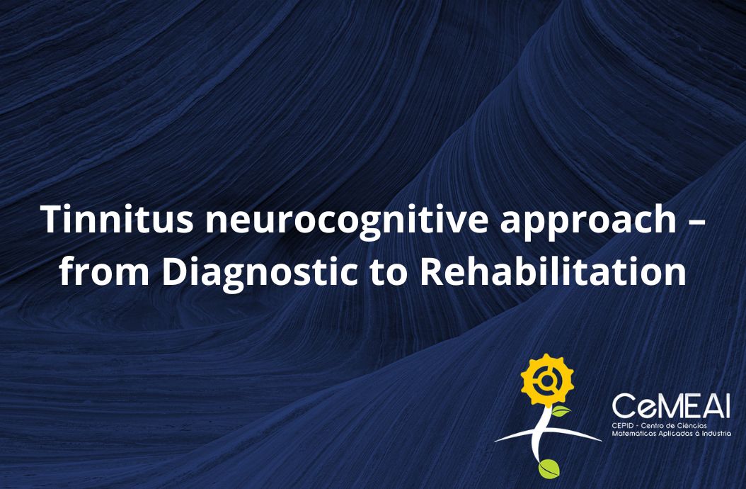Tinnitus neurocognitive approach – from Diagnostic to Rehabilitation