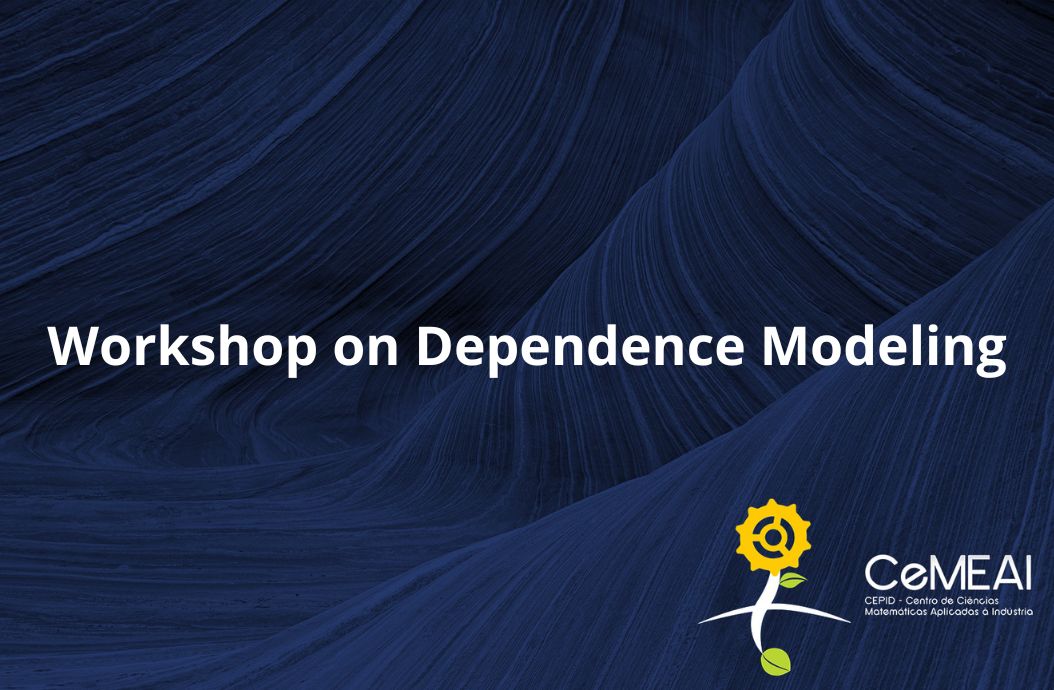 Workshop on Dependence Modeling
