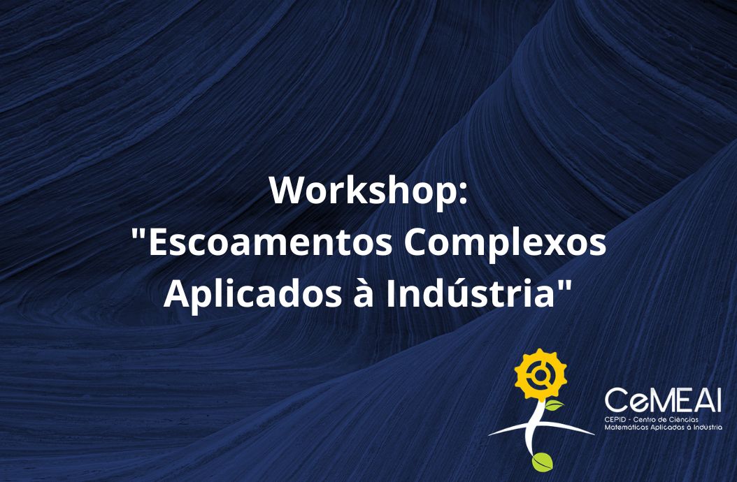 Workshop: “Escoamentos Complexos Aplicados à Indústria 2”